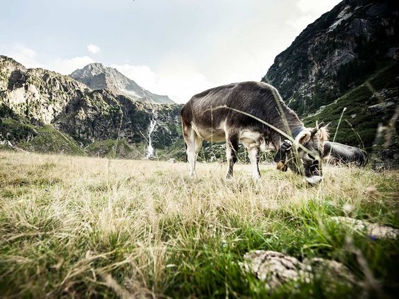 Sommerurlaub in Neustift im Stubaital